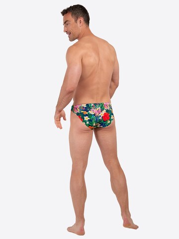 HOM Badehose ' Swim Micro Briefs Peacock ' in Grün