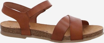 COSMOS COMFORT Sandale in Braun