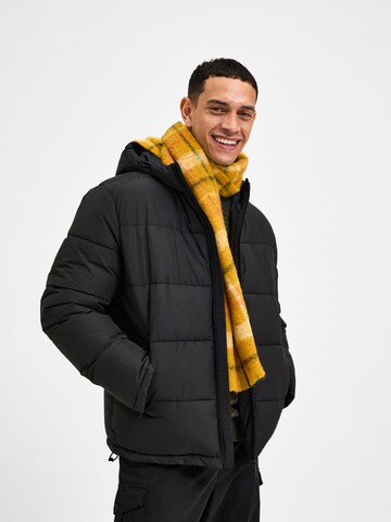 SELECTED HOMME Winterjas 'Harry' in Zwart