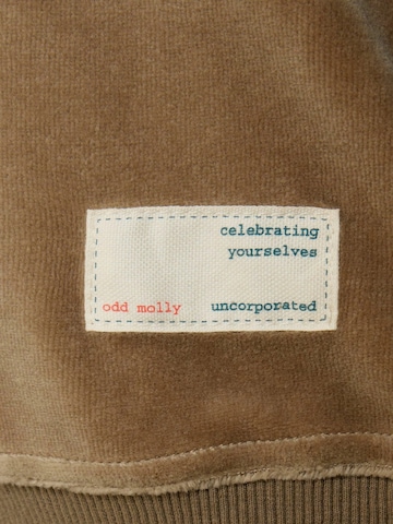 Odd Molly Pullover 'Biggi' i brun