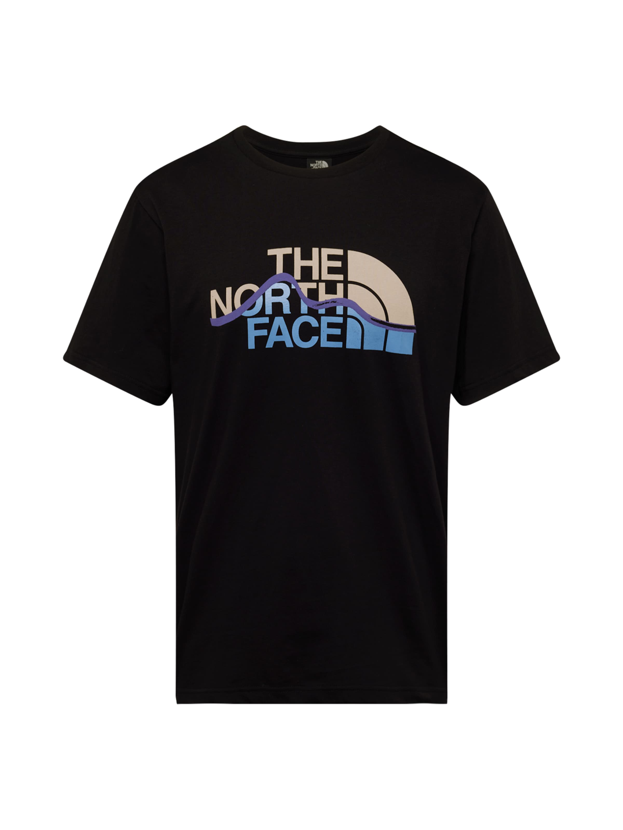 THE NORTH FACE Shirt 'Mountain Line' in Black: front