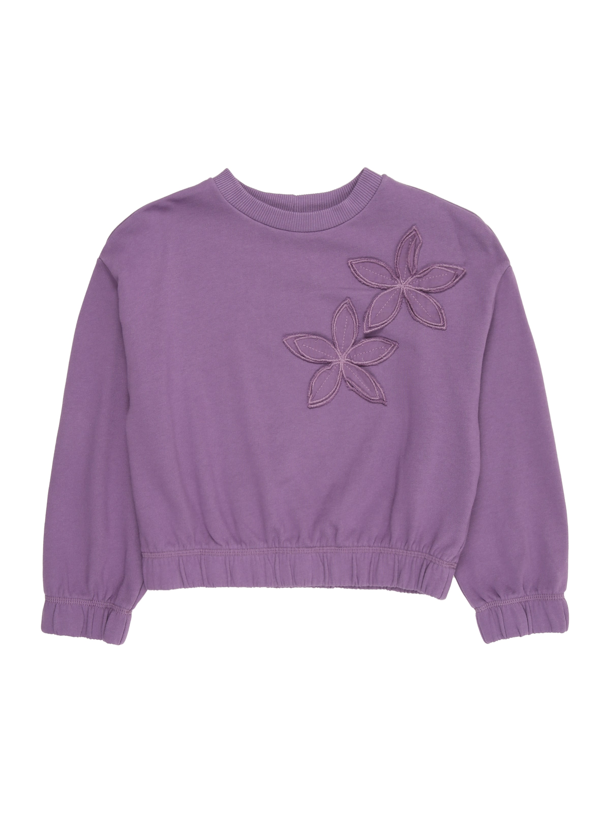 UNITED COLORS OF BENETTON Sweatshirt i lilla: forside