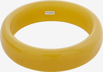 geltona Pilgrim Apyrankė 'Aase': priekis