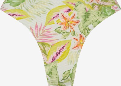 Hunkemöller Bikini Bottoms 'Tropics' in Mixed colors / White, Item view