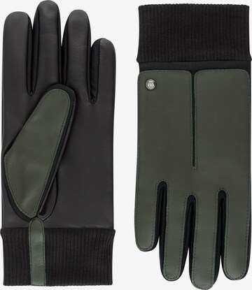 Roeckl Full Finger Gloves 'Kopenhagen' in Green: front