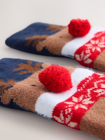 Next Nogavice 'Christmas' | mešane barve barva