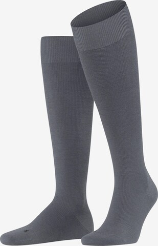 FALKE Knee High Socks 'Energizing Wool' in Grey: front