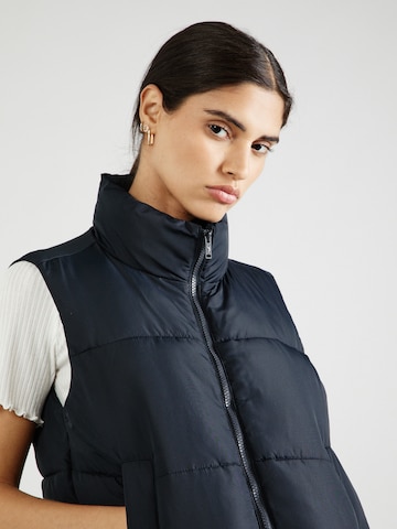 HOLLISTER Bodywarmer in Zwart