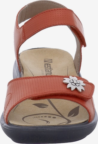 Westland Sandals 'IBIZA' in Red