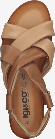 IGI&CO Sandals in Brown