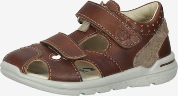 Pepino Sandals & Slippers 'KASPI' in Brown: front