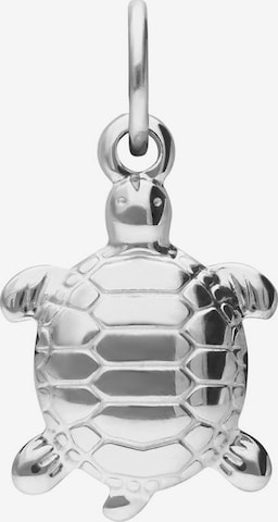 Pendentif Lucardi en argent : devant