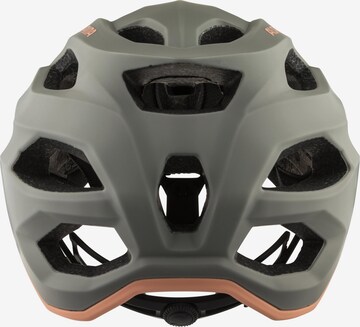 Alpina Helmet 'Carapax 2.0' in Green