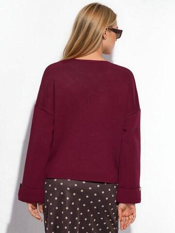 Hiccup Sweter w kolorze czerwony