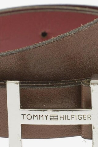 TOMMY HILFIGER Belt in One size in Brown