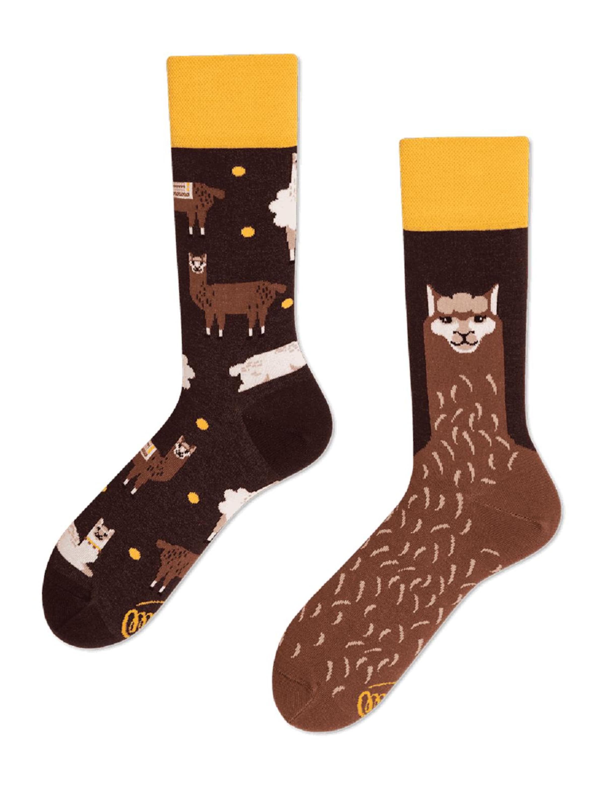 Many Mornings Socks in Brown: front