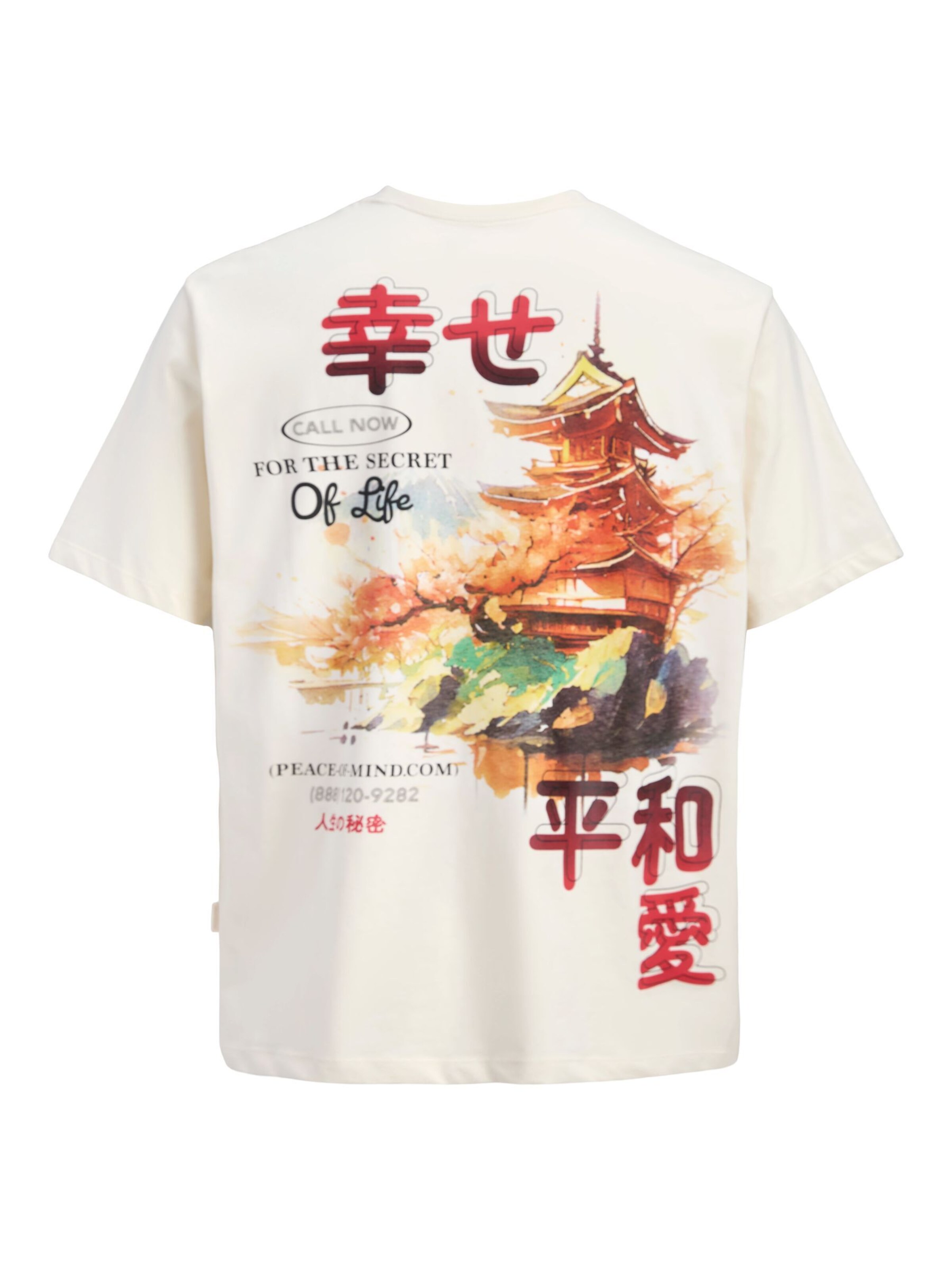 T-Shirt 'JORBig Japan' JACK & JONES en blanc