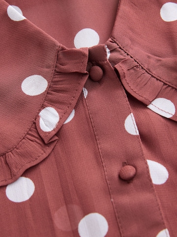 Next Blouse in Bruin