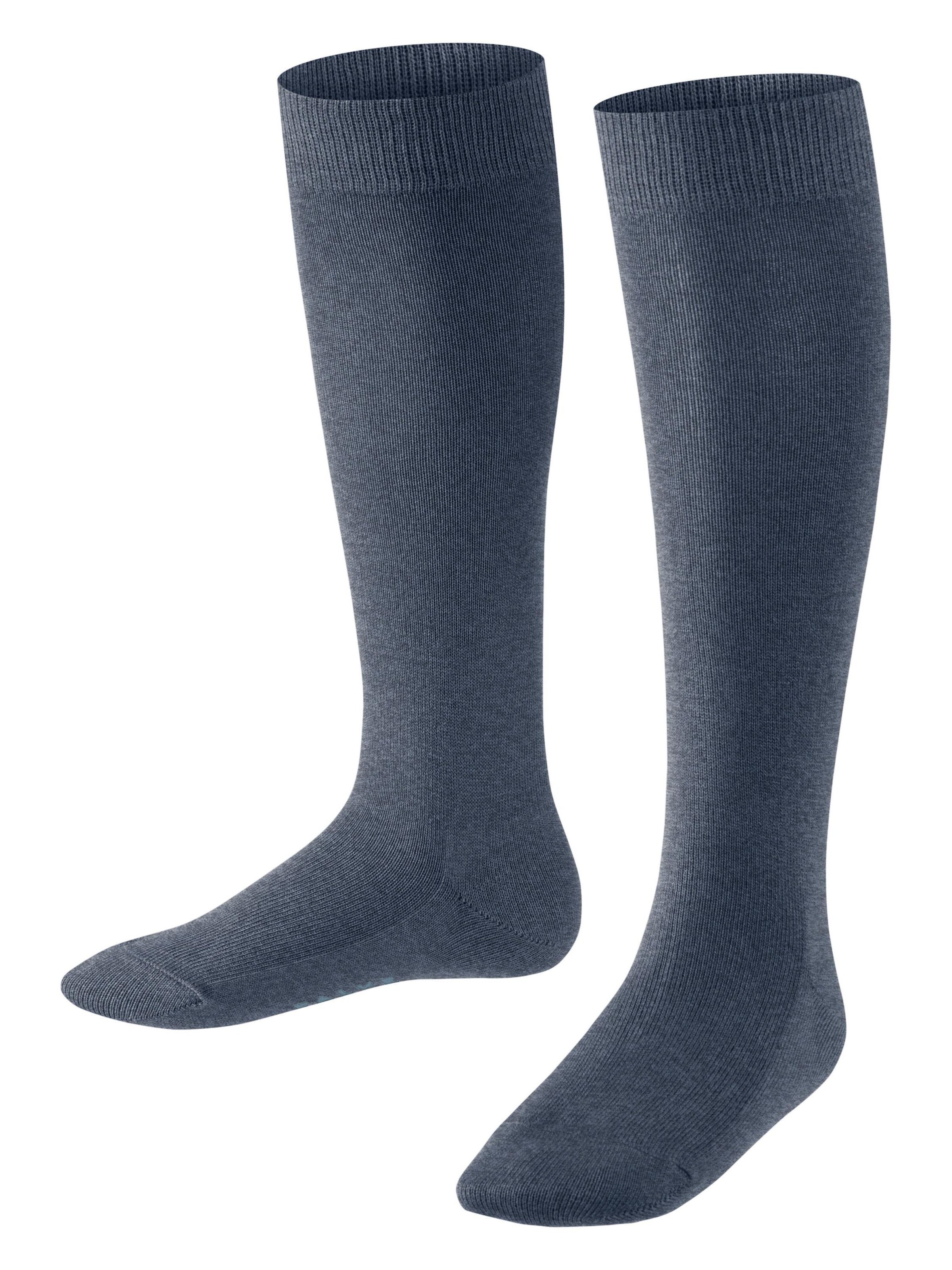 FALKE Socks 'Family' in Blue: front