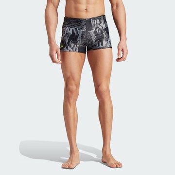 Maillot de bain de sport 'Performance Graphic' ADIDAS PERFORMANCE en gris : devant