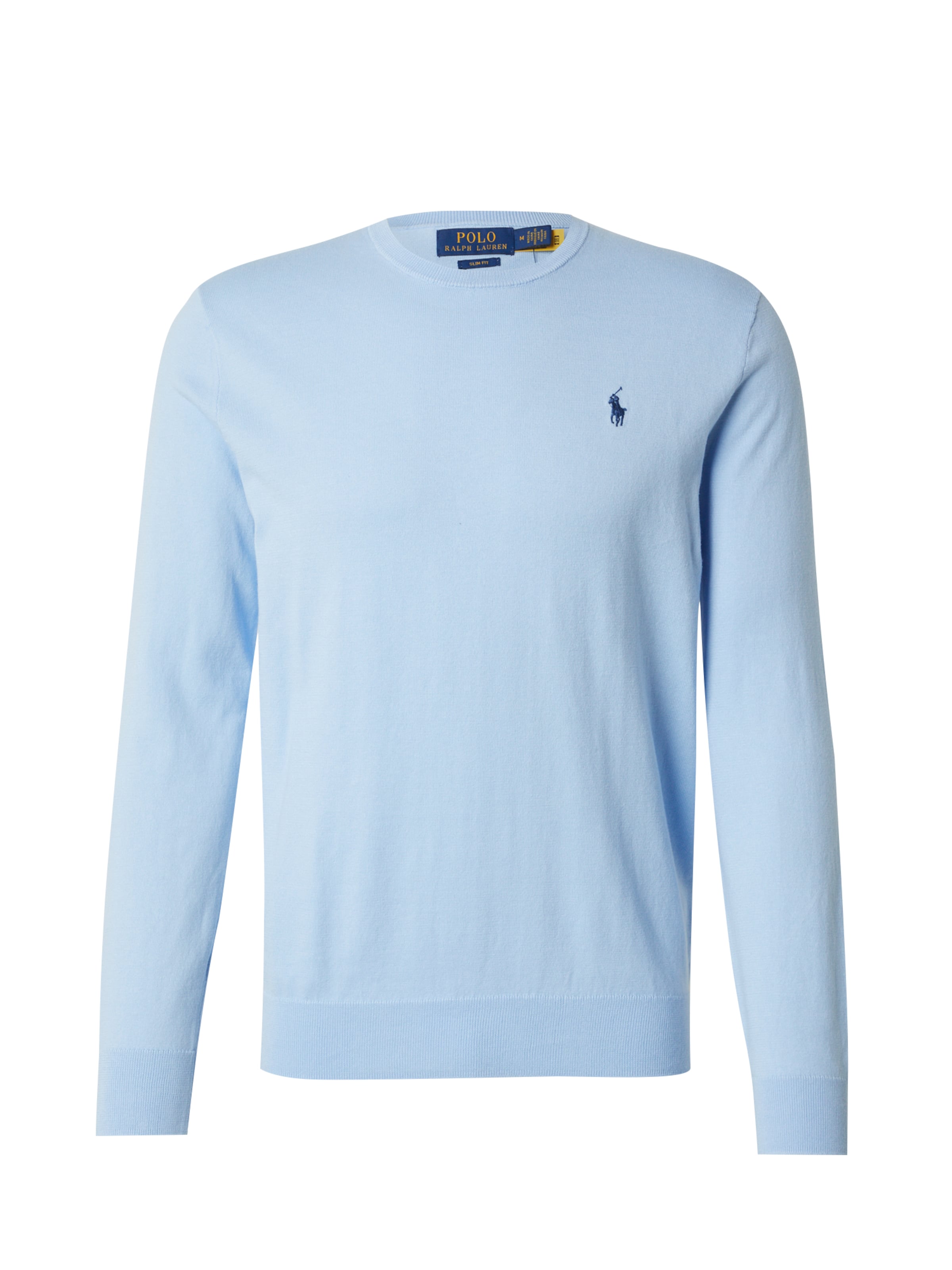 Polo Ralph Lauren Sweater in Blue: front