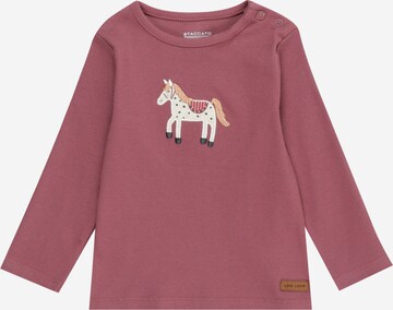 STACCATO Bluser & t-shirts i pink: forside