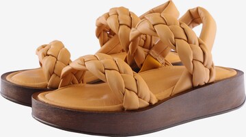 D.MoRo Shoes Sandals 'Avipola' in Yellow