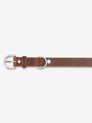 Accessoires pour animaux 'Strolch' Picard en marron