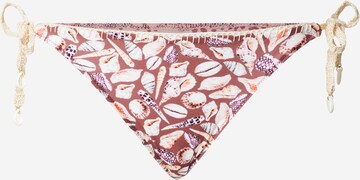 watercult Bikini Bottoms in Brown: front