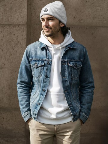 Neverless Beanie 'Mountain' in Grey