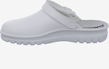 Westland Mules 'Metz' in White