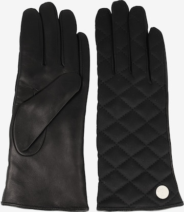 JOOP! Full Finger Gloves in Black: front