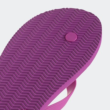 ADIDAS SPORTSWEAR Босоножки через палец в Ярко-розовый
