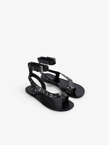 Scalpers Atenas Studs Sandal ' ' in Schwarz