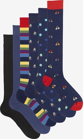 Ciocca Knee High Socks in Mixed colors: front
