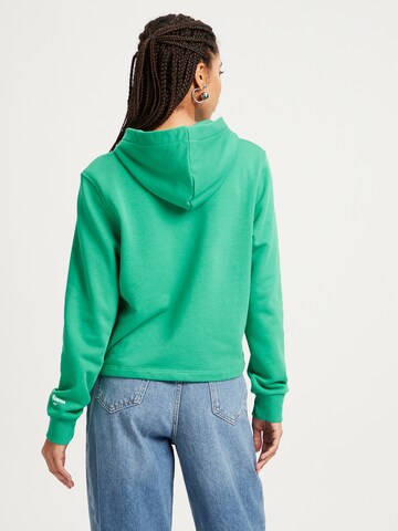 Cross Jeans Sweatshirt in Grün