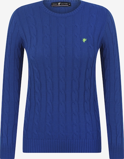 DENIM CULTURE Jersey 'ELISA' en azul oscuro / verde claro, Vista del producto