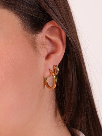 Boucles d'oreilles Lucardi en or : devant