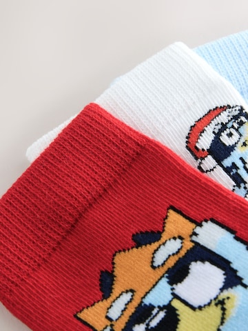 Next - Calcetines en azul