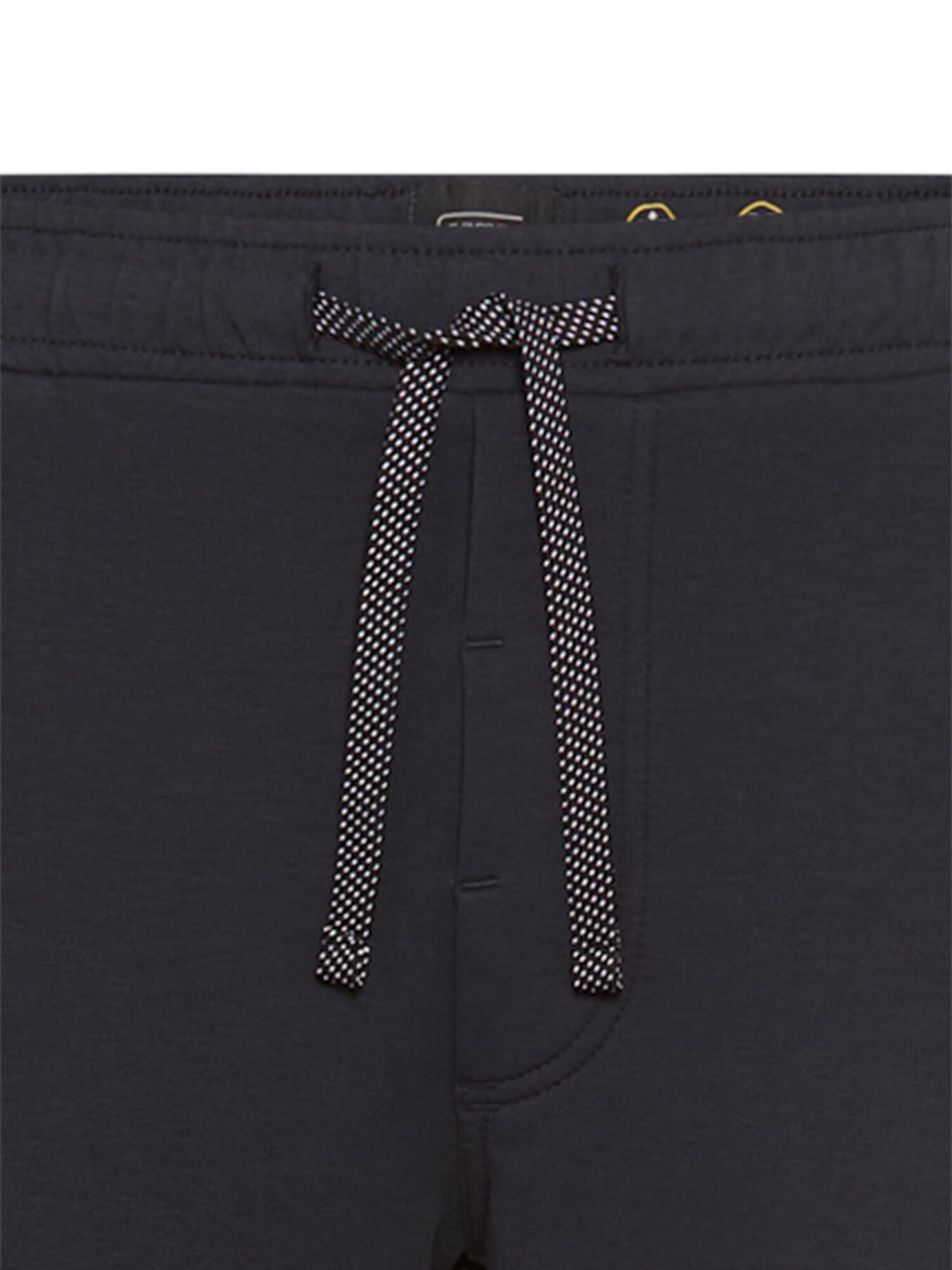 CAMEL ACTIVE Regular Chino 'fleXXXactive®' in Braun
