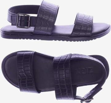 Zign Sandals & High-Heeled Sandals in 39 in Black: front