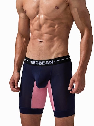 SEOBEAN Lange Unterhose‌‌‌‌ in Blau: Vorderseite
