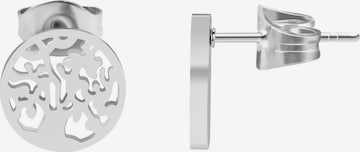 Akzent Earrings 'Oliwai, langlebig' in Silver: front