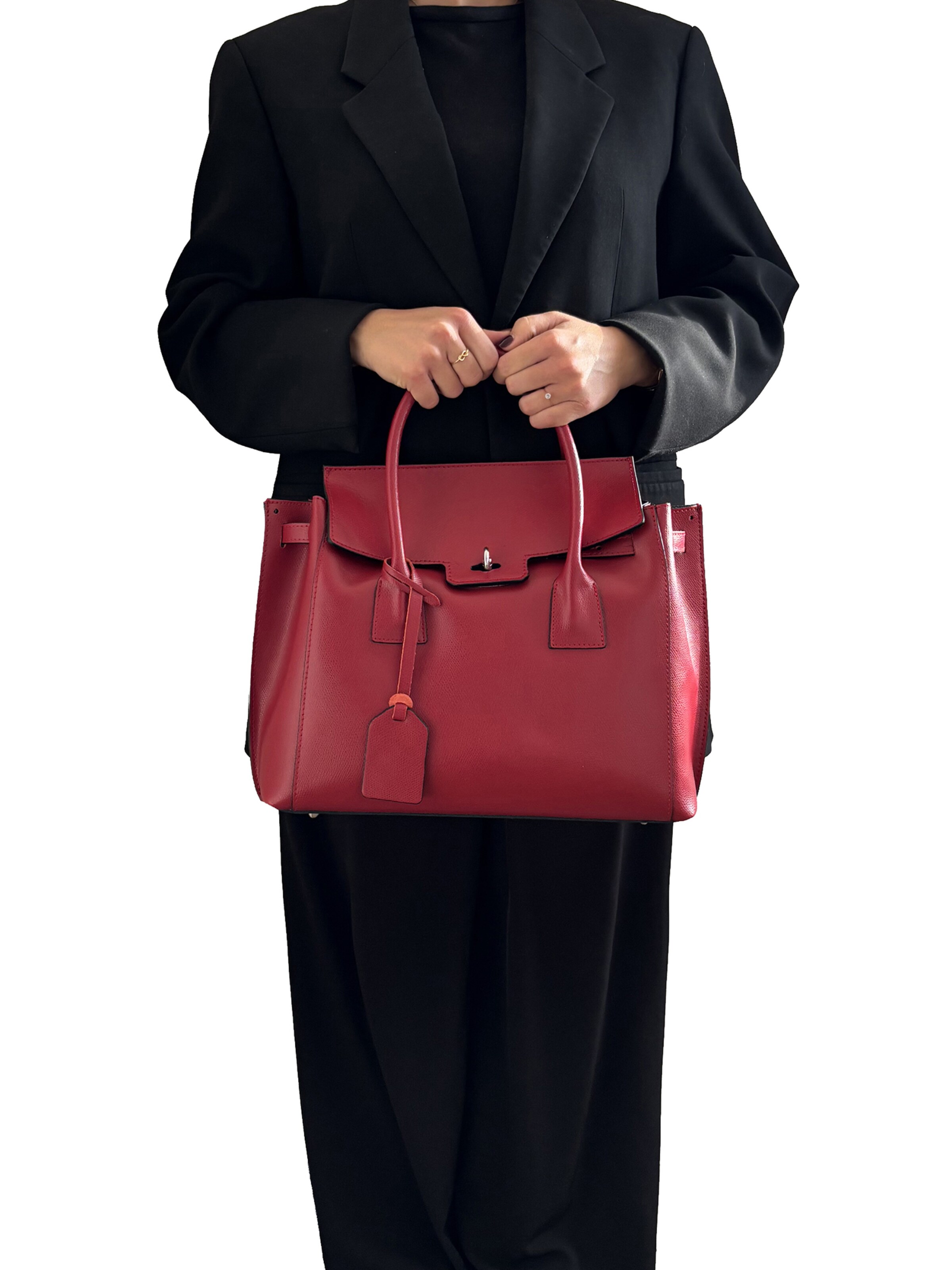 CHICCA BORSE Handtas in Rood: voorkant