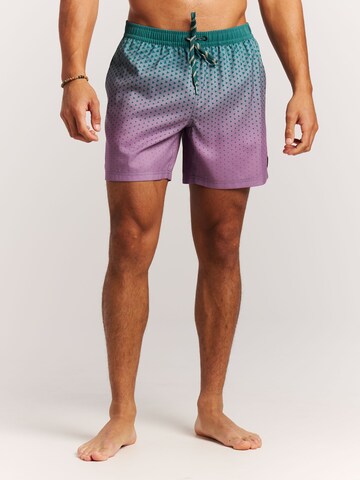 PROTEST Board Shorts 'PRTNorthaw' in Green: front