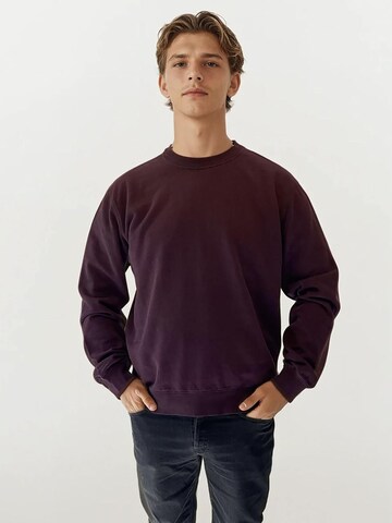 A Question Of (AQO) Sweatshirt 'Johannes' i lilla: forside