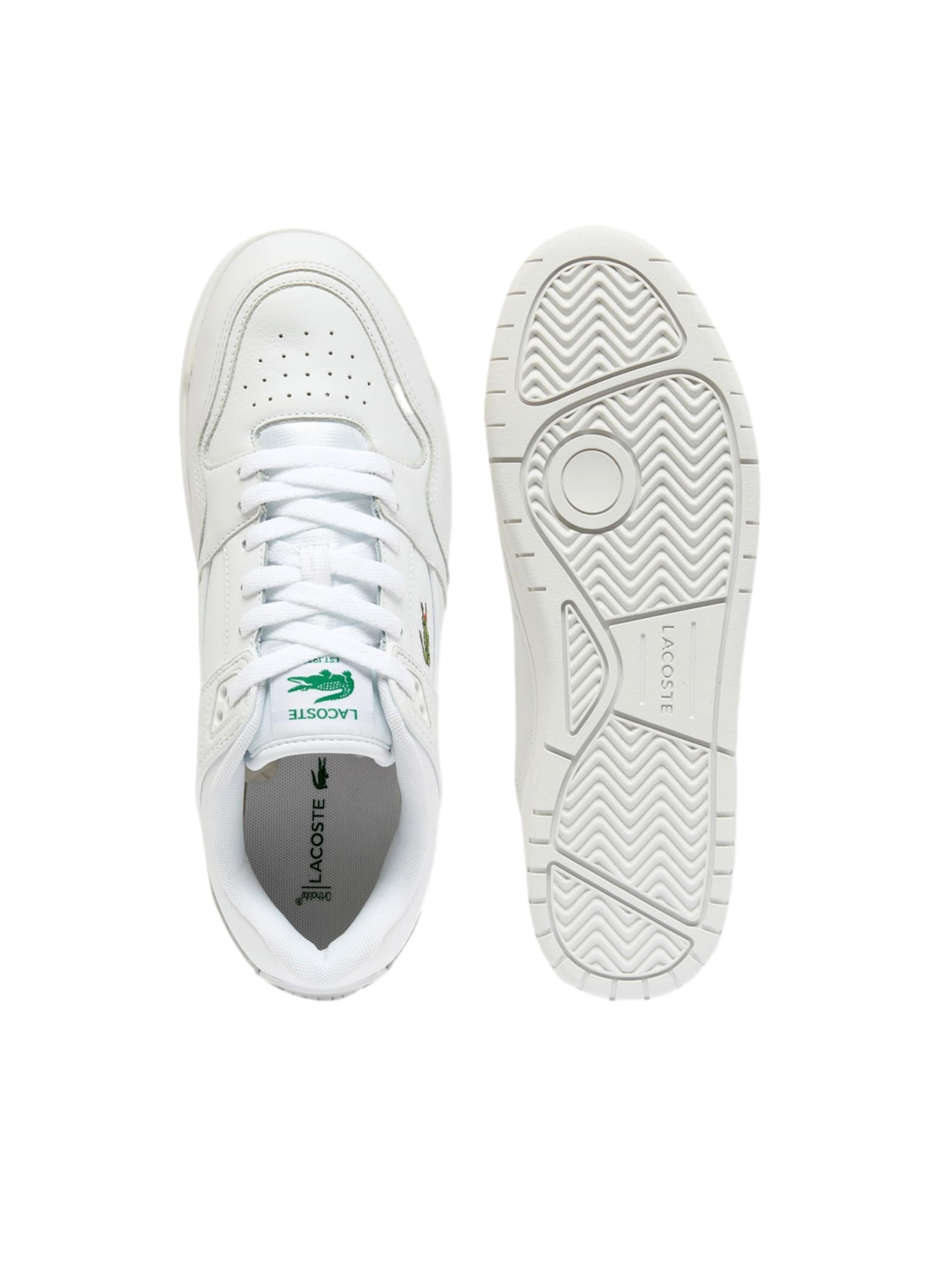 Baskets basses 'Courtcage Set' LACOSTE en blanc