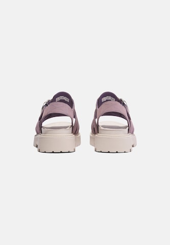 TIMBERLAND Sandal in Purple