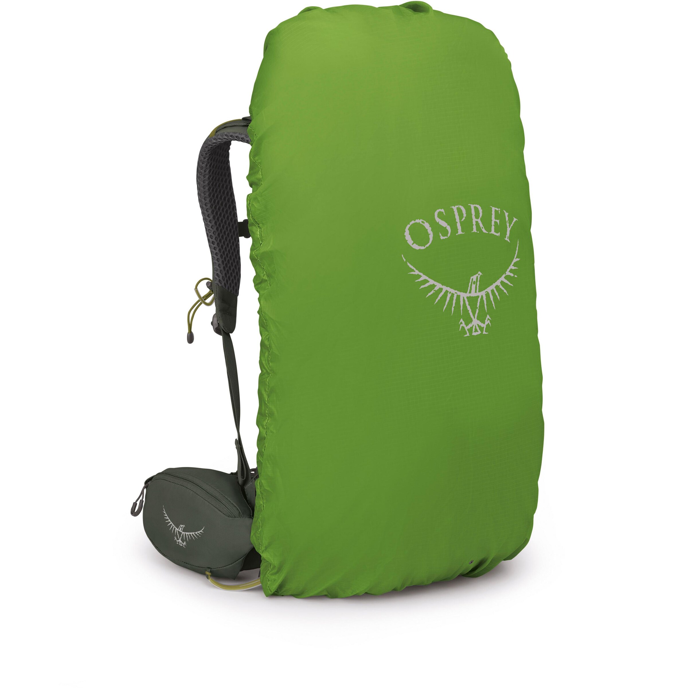 Osprey Sports Backpack 'Kestrel 38' in Green