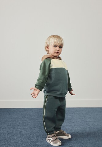 Tuta da jogging di Next in verde
